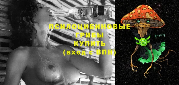 твердый Армянск