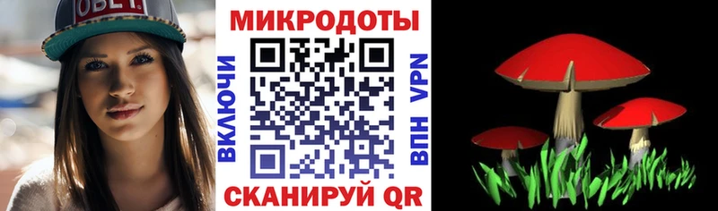 наркотики  Дорогобуж  Псилоцибиновые грибы прущие грибы 